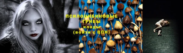 таблы Аркадак