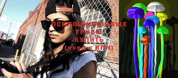 стафф Абаза