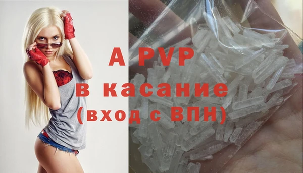 стаф Алексин